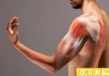 Треперене на мускулите: Всичко, което трябва да знаем